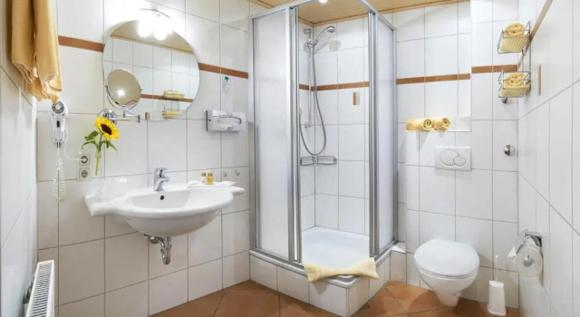 Четырёхместный номер Standard Hotel Hanauerhof