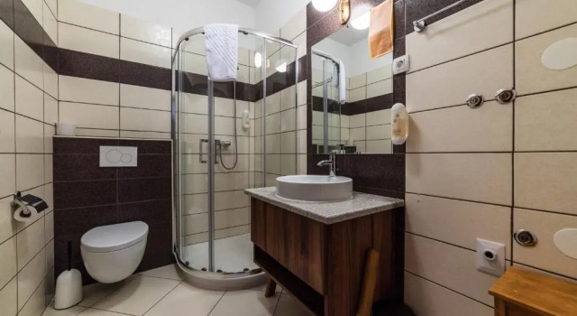 Трёхместный номер Standard Guesthouse Bistra