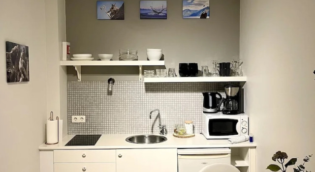 Студия Standard Egils Studio Apartments