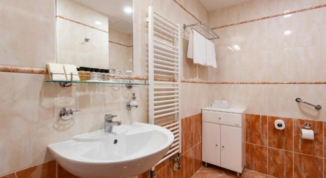 Номер Standard Reitenberger Spa Medical