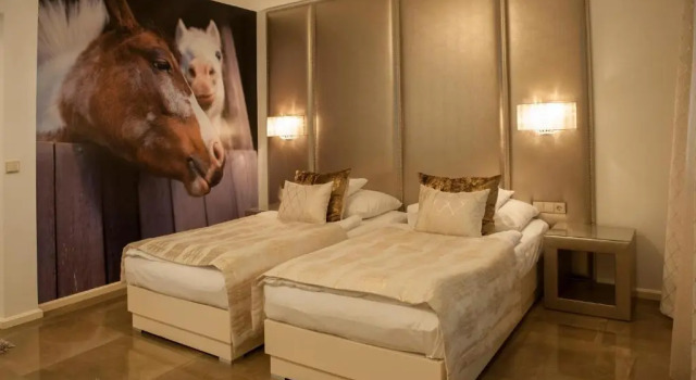 Номер Superior Vargatanya Park Hotel
