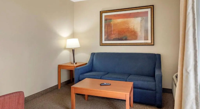 Люкс Comfort Suites Auburn Hills-Detroit