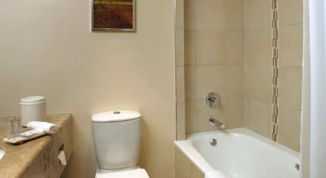Номер Superior Garden Court OR Tambo International Airport