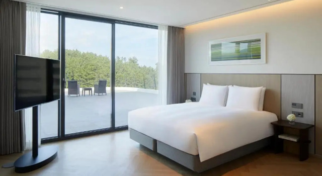 Клубный люкс Prestige с видом на океан Parnas Hotel Jeju