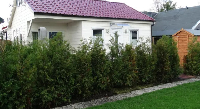 Коттедж с 2 комнатами Haus zum Leuchtturm Ferienpark Vislust Niederlande Ijsselmeer