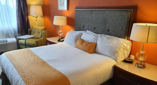 Номер Standard Hotel San Francisco Leon