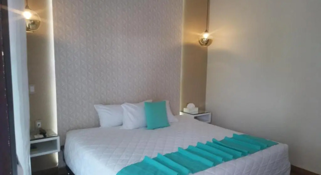 Habitación doble De ejecutivo Hotel Medrano Temáticas and Business Rooms Aguascalientes
