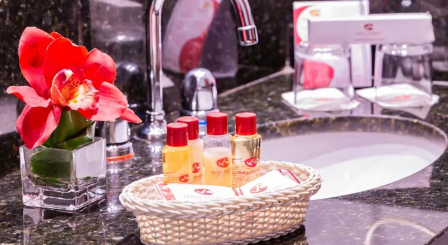 Двухместный номер Standard Hotel Vermont Ipanema