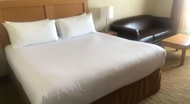 Номер Standard Best Western Grande Prairie