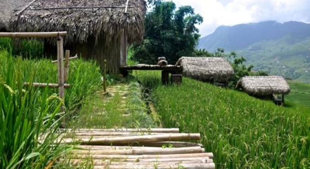 Hmong Mountain Retreat