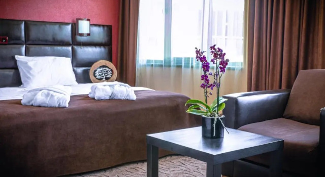 Номер Deluxe Zdravets SPA Hotel
