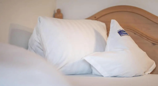 Номер Standard Hotel Garni Schneider