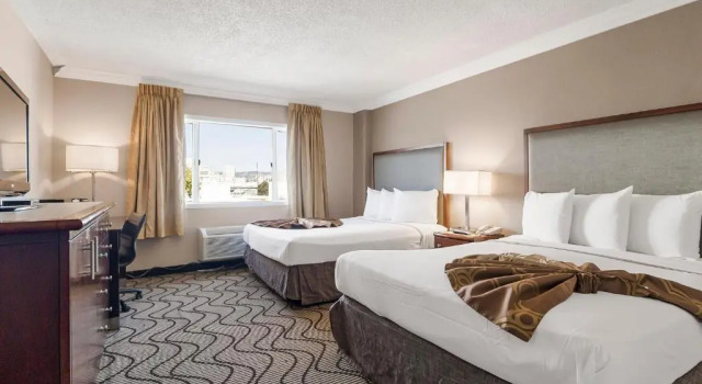 Четырёхместный номер Standard Jack London Inn