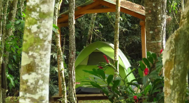 Тент с красивым видом из окна Ecofinca Luna del Puente