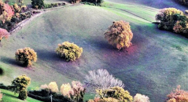 Da Franca, Varaa Hotelli Assisi Umbria
