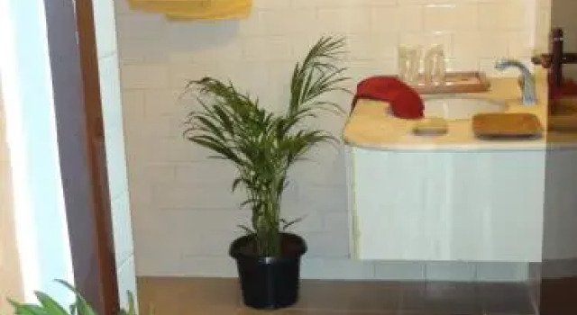 The Village Resort, Забронировать Курортный отель Бизнес-отели штата Карнатаки, 4* 5*