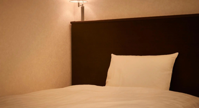 Одноместный номер Standard Osaka Dai-ichi Hotel