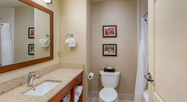 Четырёхместный номер Standard Comfort Inn & Suites Logan Near University