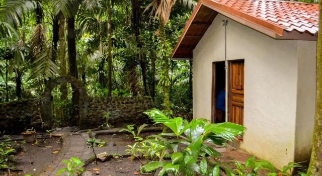 Номер Standard Termales del Bosque & Hot Springs