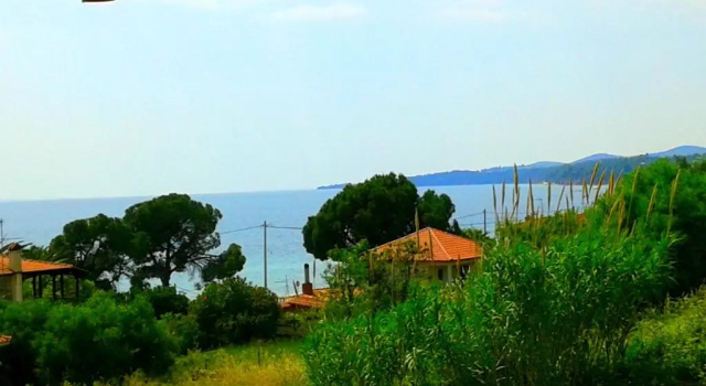 Полулюкс Summer House