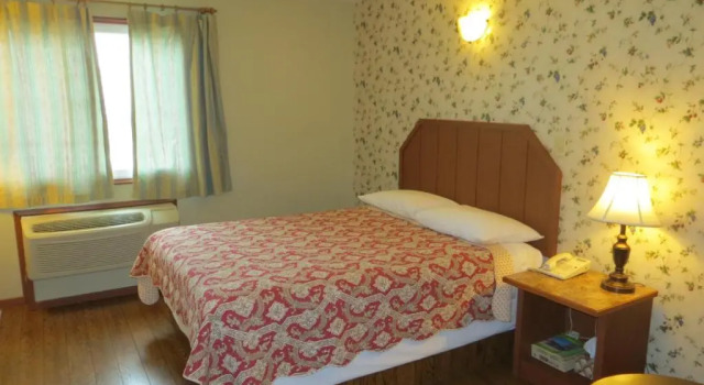 Номер Standard Queen Bee Hotel