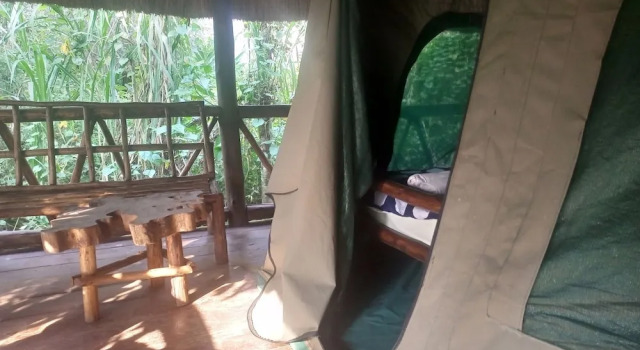 Номер Standard Kibale River Camp