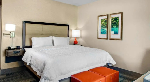 Номер Mobility Accessible Hampton Inn & Suites by Hilton Atlanta Perimeter Dunwoody