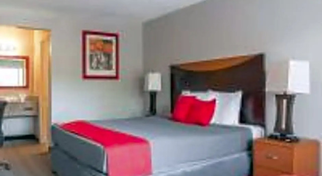 Студия Hotel Pinellas Park - St. Petersburg North US-19