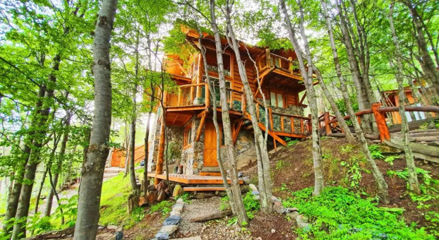 Двухместный номер Standard Patagonia Villa