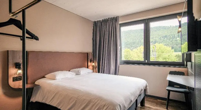 Двухместный номер Classic Hota Hotel Saint-Imier