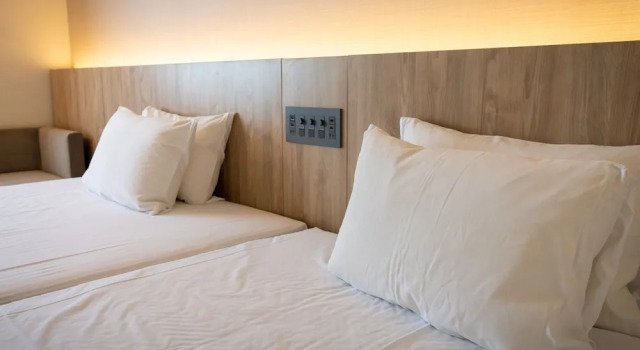 Номер Deluxe Hotel Flags Isahaya Nagasaki