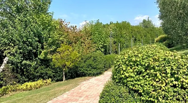 Номер Classic Relais Fra Lorenzo