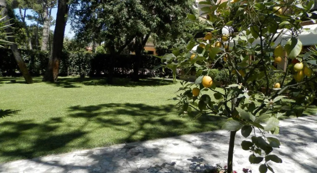 Номер Standard Hotel Mediterraneo