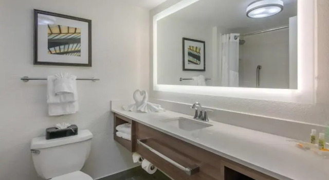 Четырёхместный номер Standard Holiday Inn Savannah South - I-95 Gateway by IHG