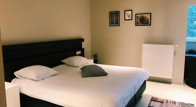Номер Superior Auberge du Vieux Cedre, Enghien-Belgique