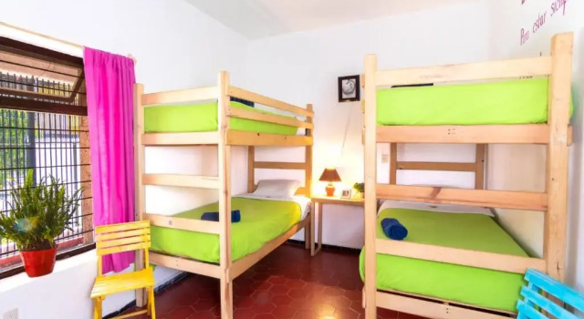 Кровать в общем номере Hostal Casa Colores Adults Only