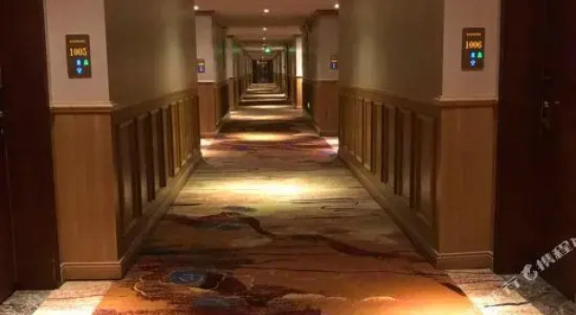 Люкс Vienna Classic Hotel (Luoyang Kaiyuan Avenue)