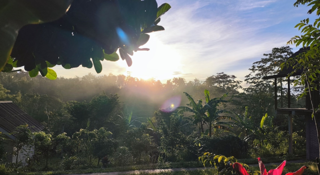 Номер Deluxe Tetebatu Valley Bungalows