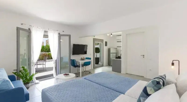 Двухместный номер Standard с видом на сад Alexander Suites