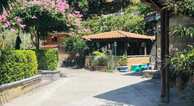 Serenity ‘s House
