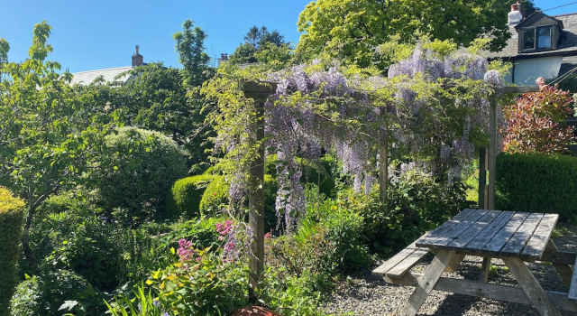 Hütte Magnolia View