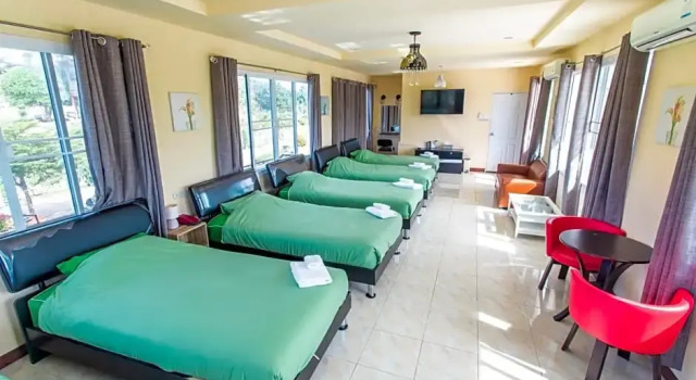 Номер Standard Mossview Resort