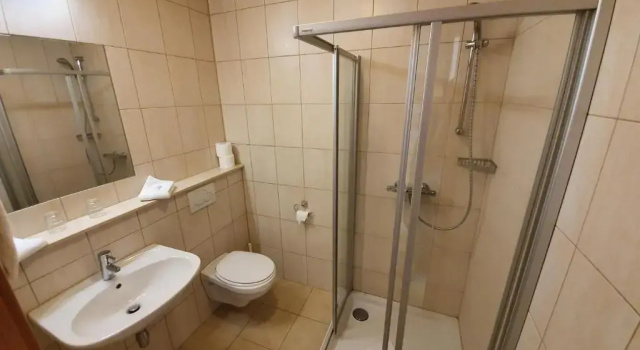 Номер Standard Hotel zum Buchenberg