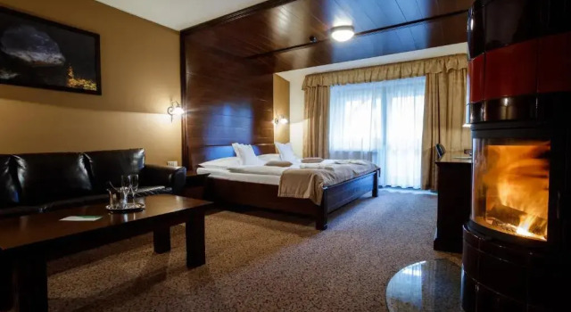 Номер Deluxe APLEND Wellness Hotel Borovica