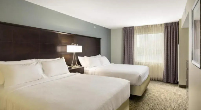 Четырёхместный номер Standard c 1 комнатой Staybridge Suites Columbus Polaris by IHG