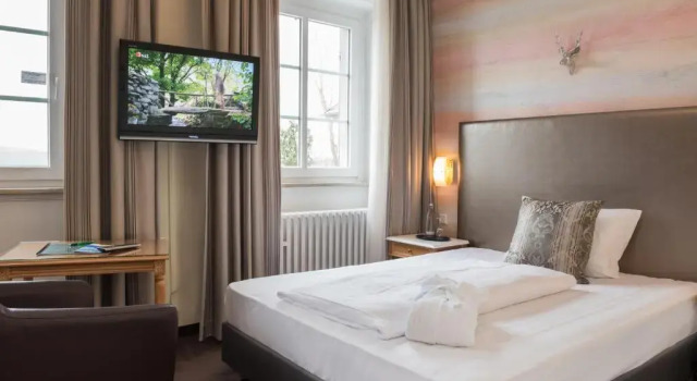 Одноместный номер Standard Jagdschloss Hotel Niederwald