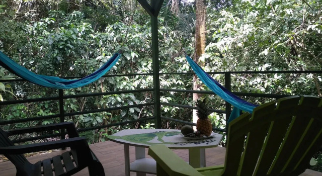 Бунгало Selva Linda Lodge jungle wildlife vue and birdwatching