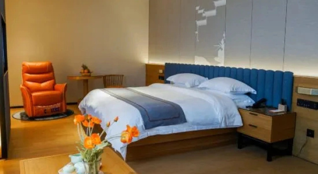 Люкс Deluxe Wuhu Nanling Nanjing Jialong Hotel