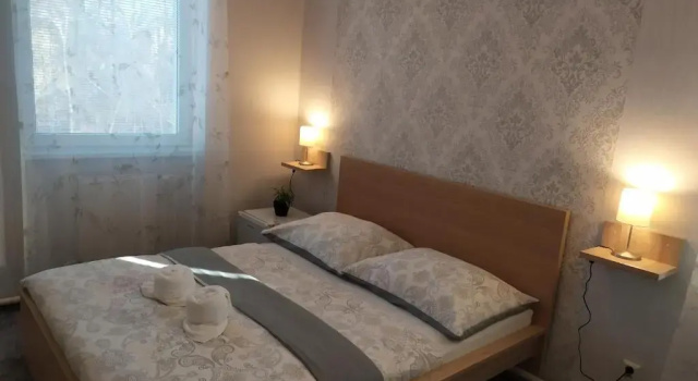 Двухместный номер Standard Hotel Boršičanka