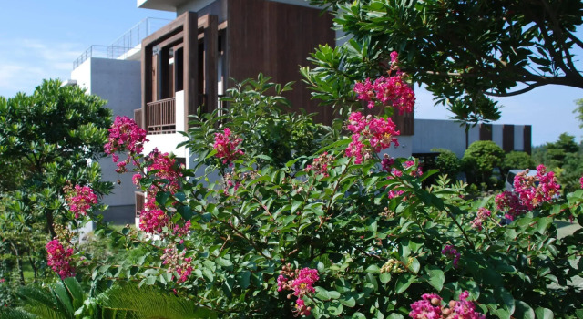 Jejueco Suites